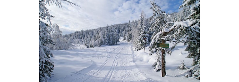 Cross Country Skiing Crash Course for beginners at Sognsvann Snowpark